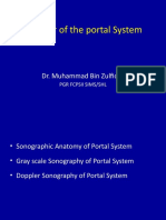 Doppler of The Portal System
