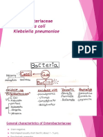 E. Coli, K. Pneumoniae