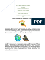 Perspectivas de Las Acciones Humanas en Los Ecosistemas: Maria Paula Jaimes Labrador