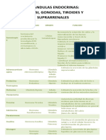 Glandulas Endocrinas