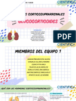 Hormonas corticosuprarrenales