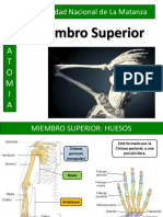 Miembro Superior 2021