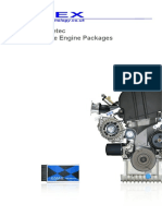 Omex Zetec Focus Engine v4 - 10