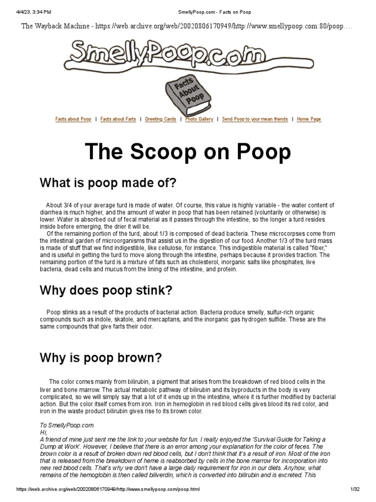Facts On Poop PDF Gastroenterology Digestive System