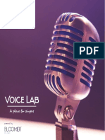 Informação Voice Lab 2022 Small