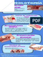Alveolotomia Infografia