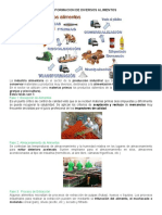 6º Transformacion de Diversos Alimentos Segun Contexto