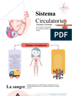 Anatomía - Sistema Circulatorio