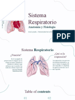 Anatomía - Sistema Respiratorio