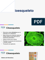 Citoesqueleto