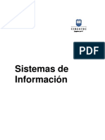 Sistemas de Información 2010 Edit2