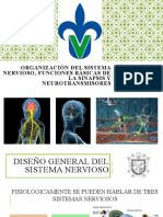 Organización Del Sistema Nervioso, Funciones Básicas de La Sinapsis Y Neurotransmisores