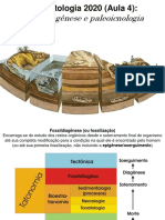 Aula 04 - Fossildiagênese e Paleoicnologia