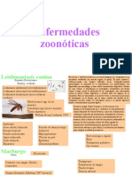 Enfermedades Zoonóticas