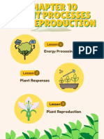 Life Chapter 10 Plant Processes and Reproduction