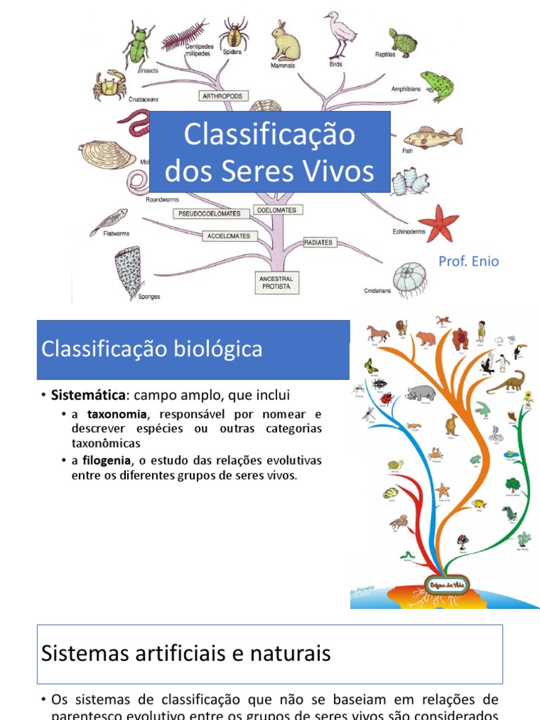 Classificação Biológica dos Seres Vivos | PDF | Taxonomia (Biologia ...