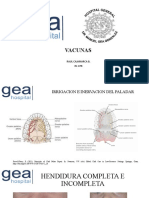 Vacunas: Raul Cajamarca B. R1 CPR