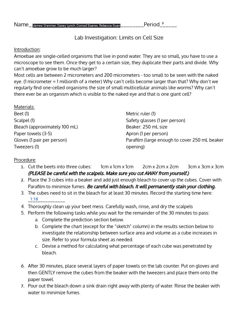 Kami Export - James Cranmer - Lab Investigation - Limits On Cell Size ...