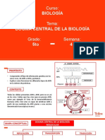 Dogma central de la biología molecular