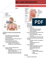 Organs of The Respiratory System
