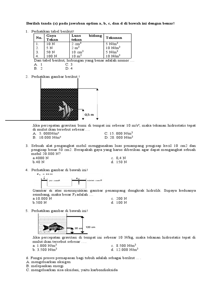 berilah-tanda-x-pada-jawaban-option-a-b-c-dan-d-di-bawah-ini