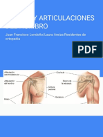 Huesos y articulaciones del hombro: clavícula, escápula, húmero