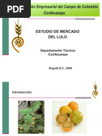 COOAGROCAMPO--LULO (1)