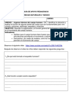 Guía de Apoyo Pedagógico Ciencias Naturales 2° Básico Nombre: Curso: UNIDAD I Órganos Internos Del Cuerpo Humano OA 7: Identificar La Ubicación y