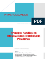 Primeros Auxilios: Mag. María Veronica Casafranca Zambrano