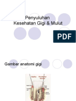 Penyuluhan-Kesehatan-Gigi-Mulut Remaja