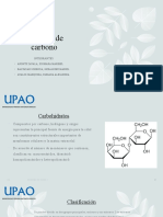 Hidratos de Carbono: Integrantes