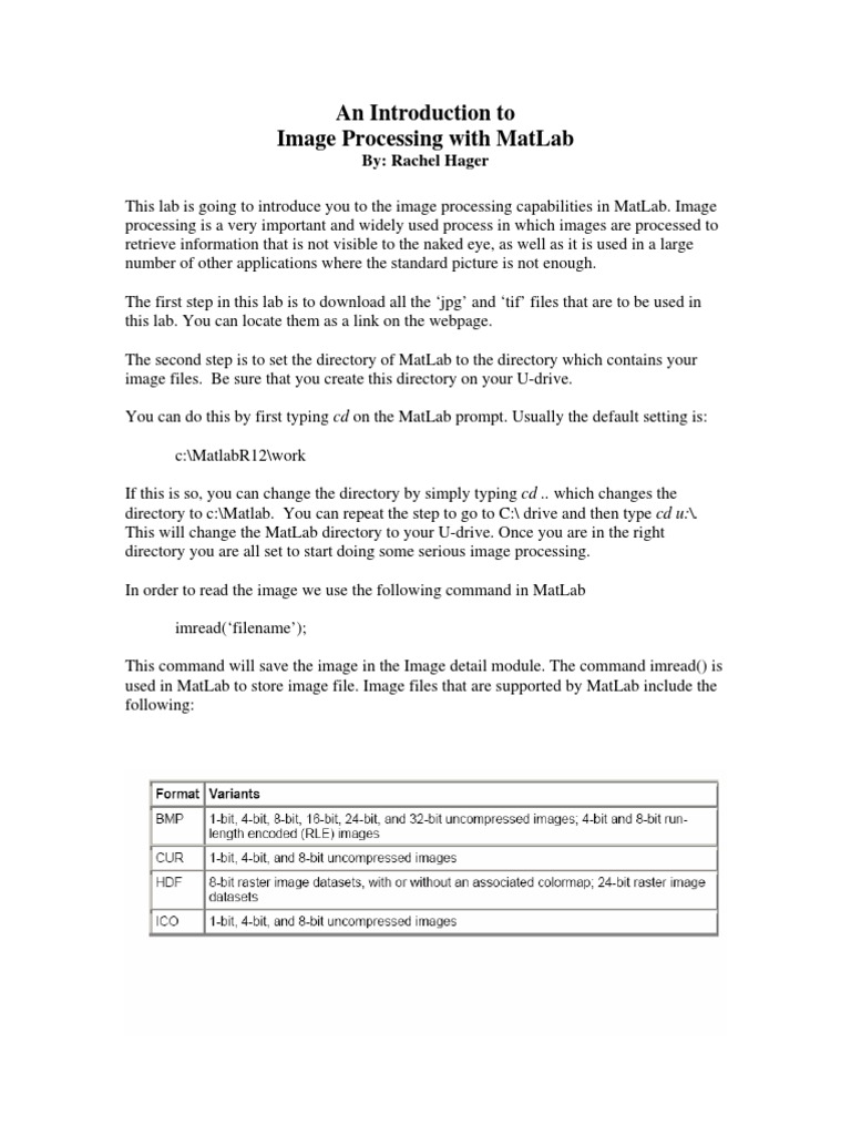 Image Processing With Matlab | PDF