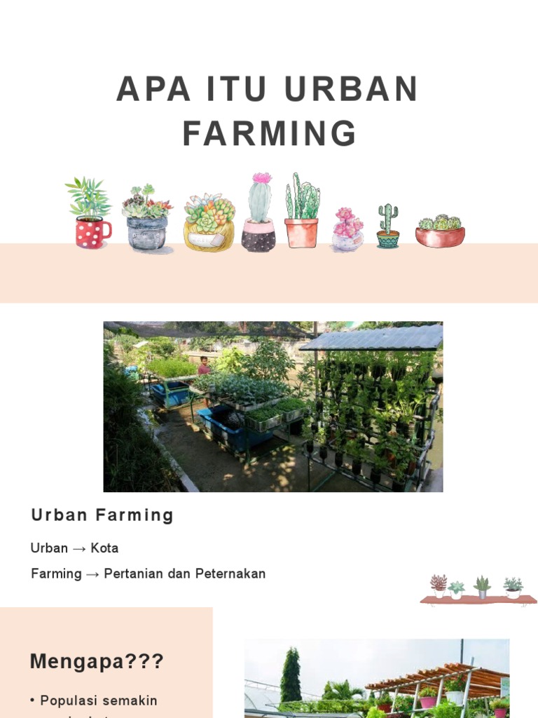 Apa Itu Urban Area