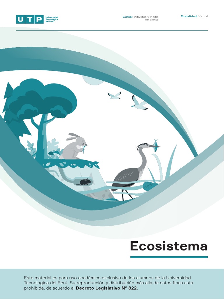 Estructura y Función de Ecosistemas | PDF | Ecosistema | Ecología