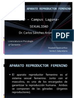 Anatomía Del Aparato Reproductor Femenino