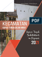 Kecamatan Kapuas Tengah Dalam Angka 2021