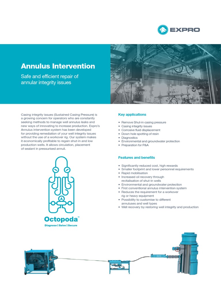 Annulus Intervention System Overview | PDF | Physical Sciences | Materials