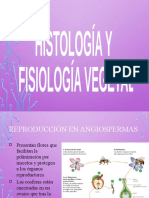 Histologia - y - Organografia - Vegetal Editar WGP