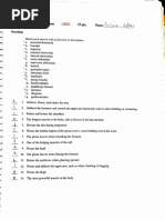 Chapter 10: Muscular System PTS.: Sternocleidomastoid