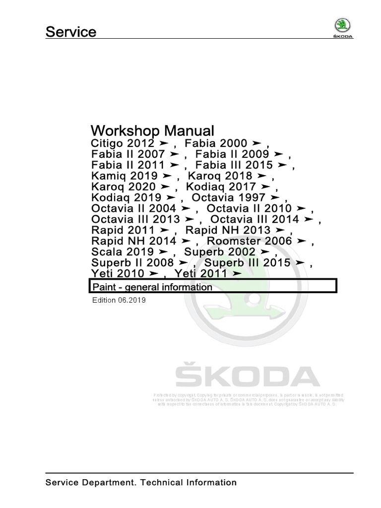 Kamiq Paint General Information PDF