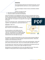 Cells Information Gap Activity Key for Blog