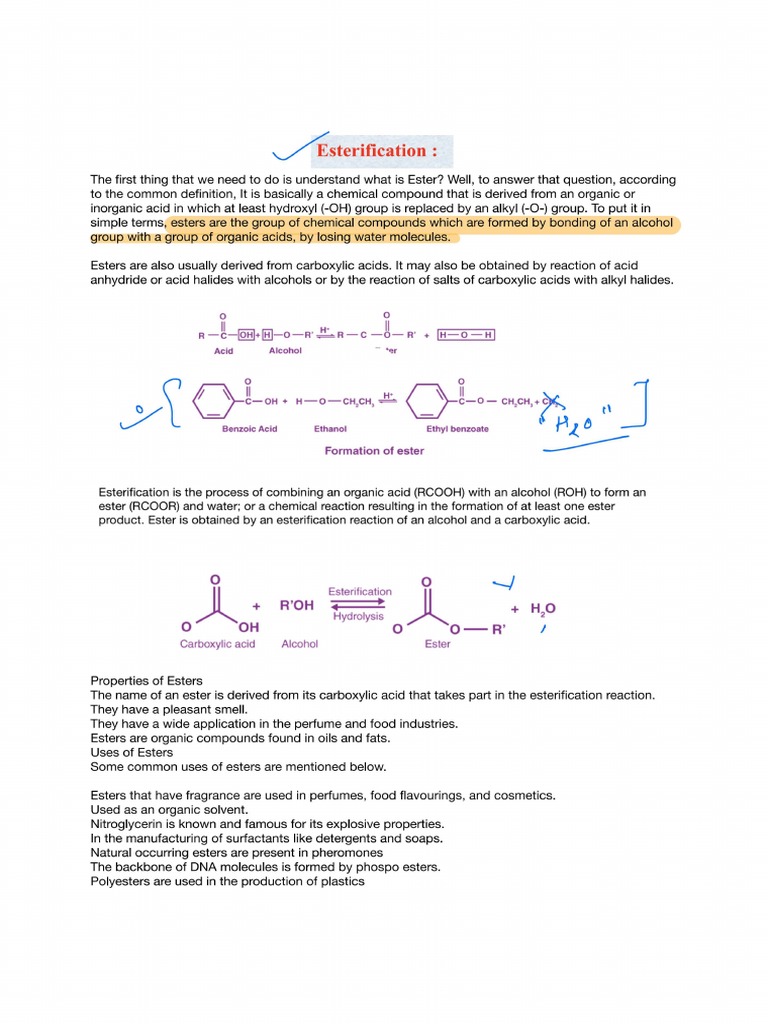 Esterification PDF