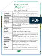 Plants Photosynthesis and Eco Glossary Poster