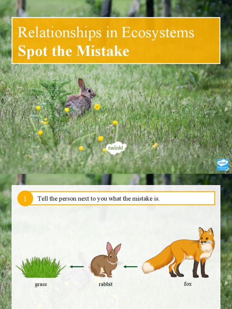 Spot The Mistake Powerpoint Pdf