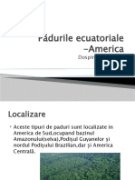 Pădurile Ecuatoriale