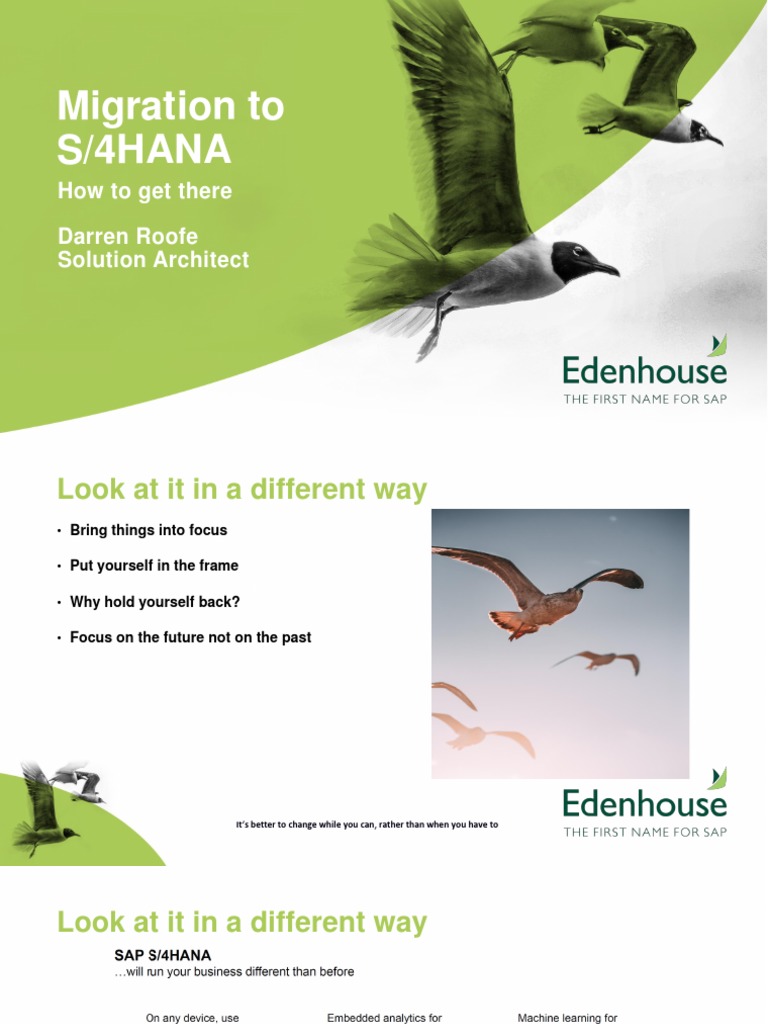 The Reality of A S4HANA Migration | PDF | Analytics | Information ...
