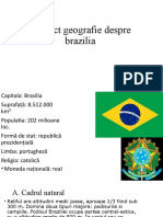 Proiect Geografie Despre Brazilia: Varga Damian