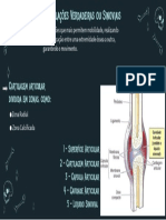 Trabalho de Anatomia - Artrologia