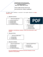 Roteiro Sobre Sistema Muscular Músculos Do Pescoço, Tórax E Abdômen