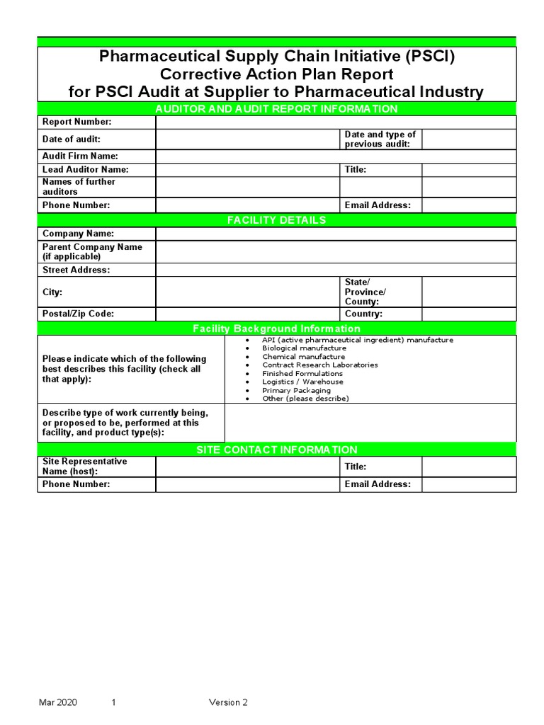 Corrective Action Plan Template (WORD VERSION) PDF Auditor s Report